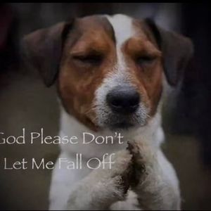 Meet your Posher, Edward